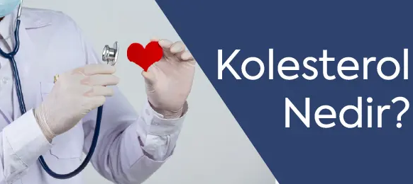 Kolesterol Nedir?