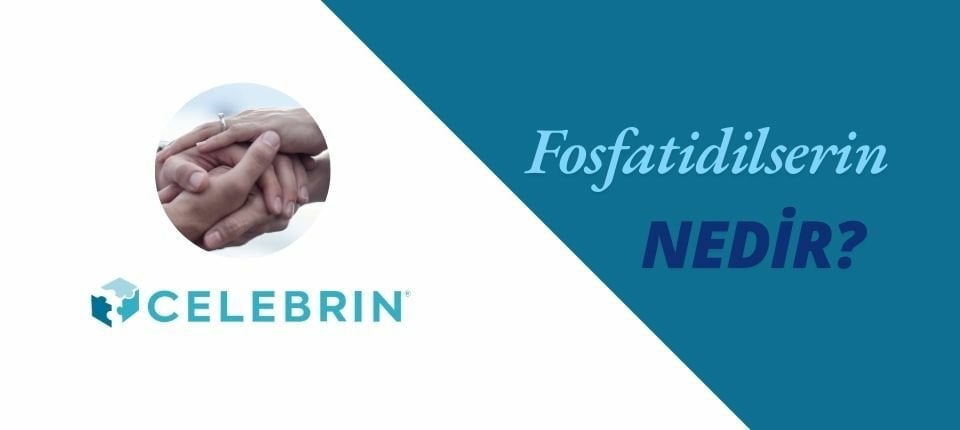 Fosfatidilserin Nedir?