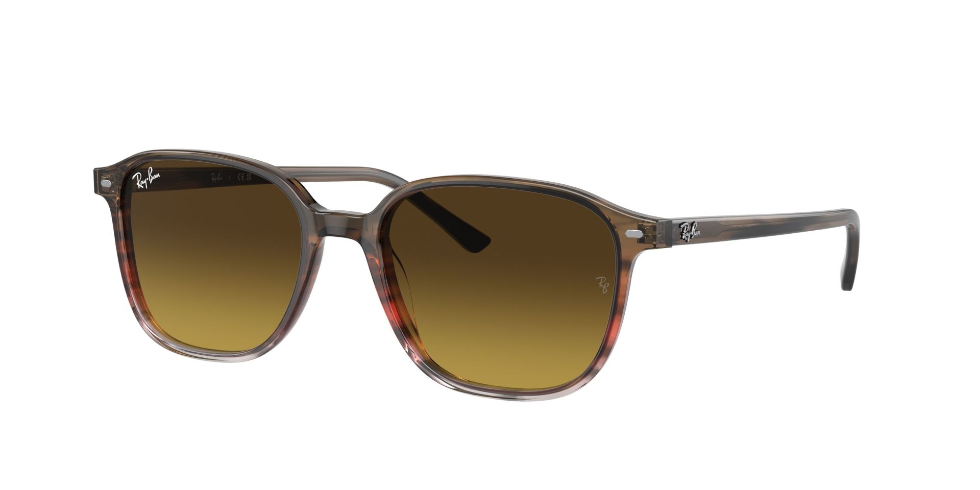 RAYBAN RB2193 LEONARD 1380/85 51 GÜNEŞ GÖZLÜĞÜ
