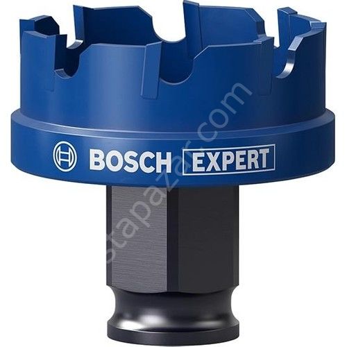 Bosch 40 mm Çelik-Inox Için Özel Seri Panç 2608900499