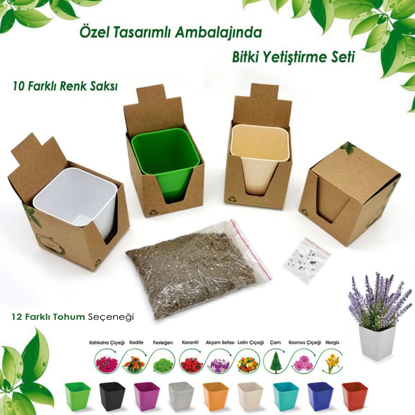Doğanın Fikri , Kutulu Tohum Bitki Dikim Seti (Köşeli)