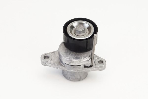ORJINAL 117502781R ALTERNATÖR GERGİ RULMANI (KÜTÜKLÜ) RENAULT LAGUNA III 07>15 DACIA DOKKER 12> DUSTER 10>ORJINAL 8200933753-8200808764