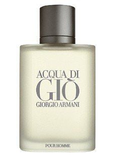 Giorgio Armani Acqua Di Gio EDT 100 ml Erkek Parfümü