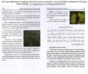 Şifa Havas Maddi Manevi Hastalıklar, Sihirden Korunma ve Çözümleri, Hoca Nusret Efendi, Mustafa Varlı, 840 Sayfa