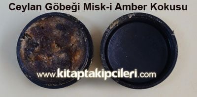 Miski Amber Ceylan Göbeği Amber Katı Misk, Krem Tipi, 5 Gram
