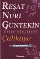 Çalıkuşu, Reşat Nuri Güntekin