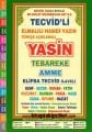 Tecvidli Renkli Yasin ve Sureler Büyük Yazılı - Elmalılı Türkçe Açıklamalı Elifba ve Tecvid İlaveli Fihristli Rahle Boy