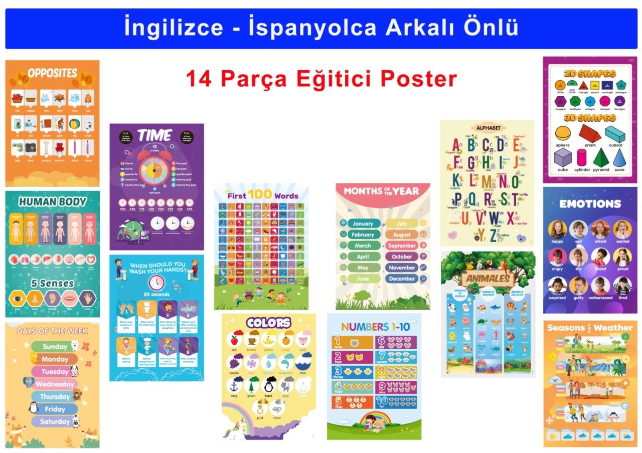 İngilizce & İspanyolca Arkalı Önlü 14 Eğitici Poster