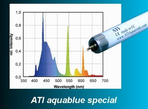 ATI - 24 W Aquablue Special T5