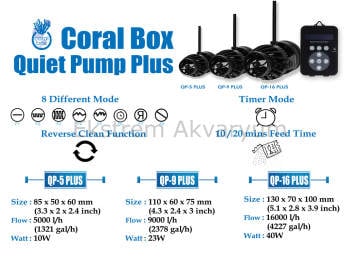 Coral Box - QPS 9