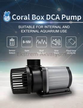 Coral Box - DCA 2000