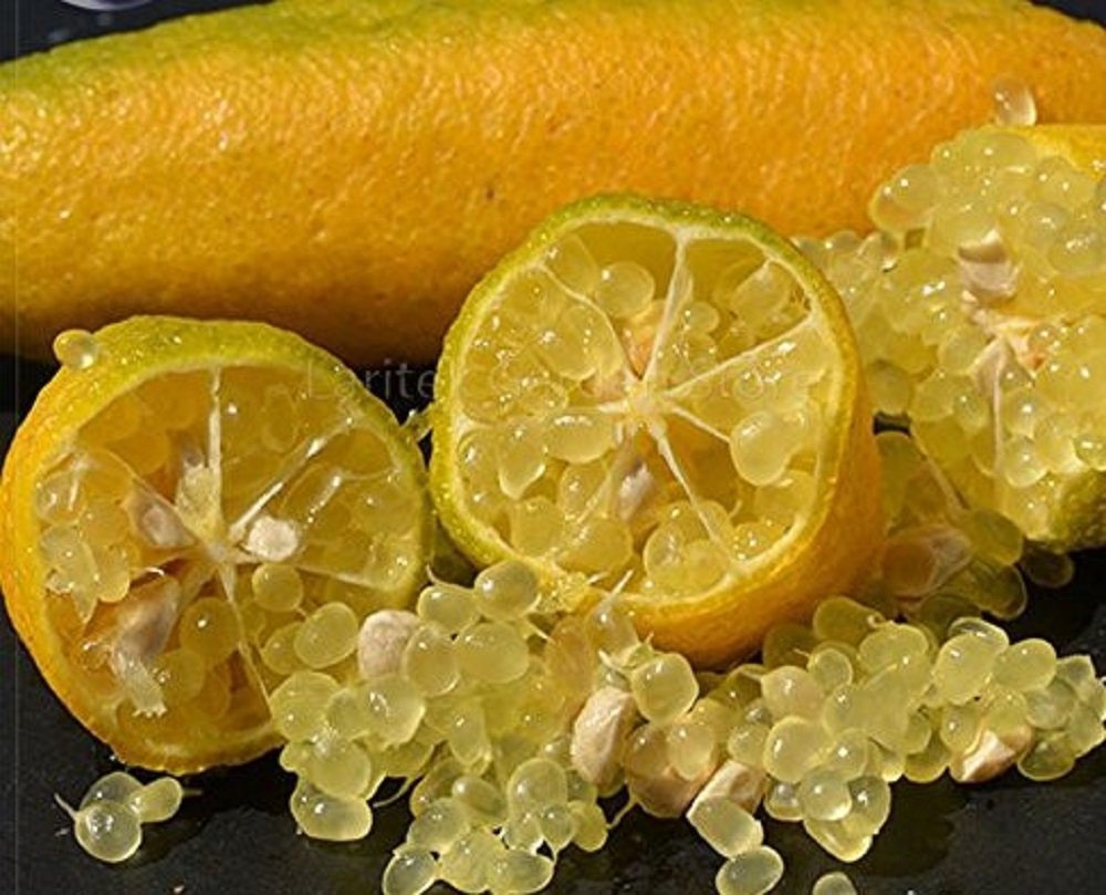 Finger Lime Sunshine Yellow Sadece ve Sadece Botanik Market Seralarında