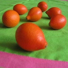 Mandarinquat Fidanı 70-90 cm