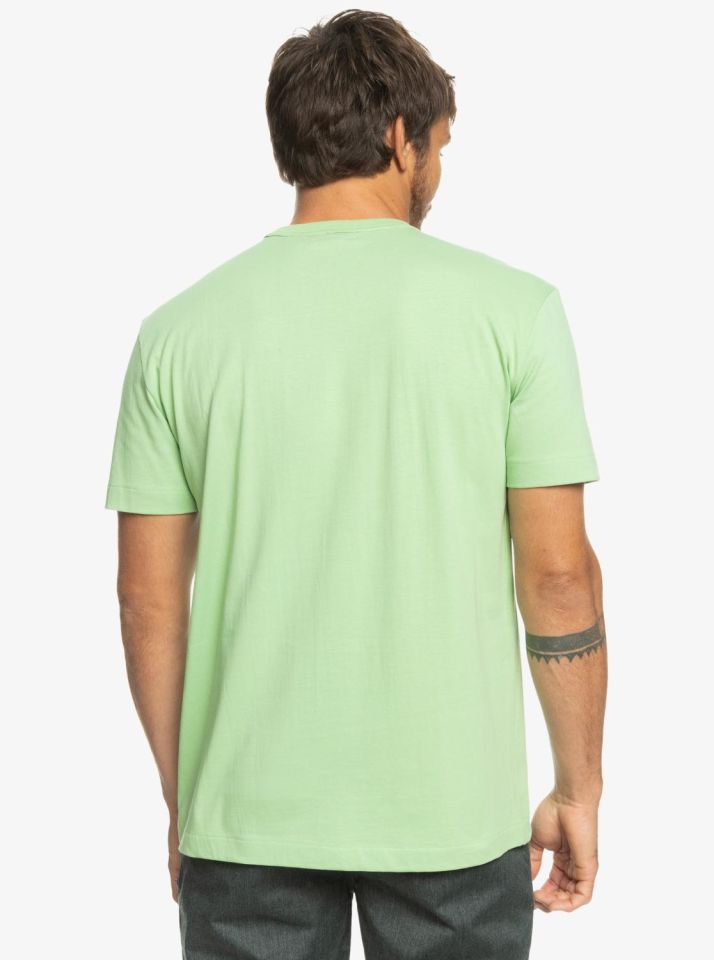 Quiksilver Essentials SS Erkek T-Shirt-EQYKT04092GFE