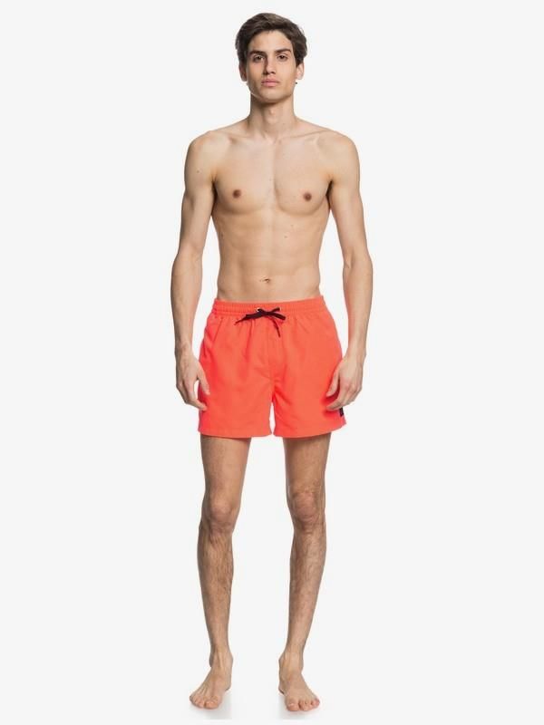 Quiksilver Everyday15 Erkek Deniz Şortu-EQYJV03531FIC