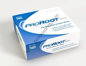 Pro Root Mta Kalıcı Kanal Tamir Patı 10x0,5 Gr