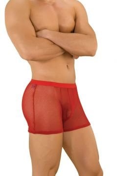 Mini Fileli Erkek Boxer - Fantazi Erkek İç Giyim ABM1435