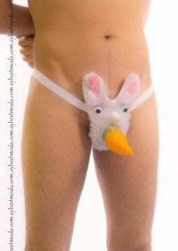 Tavşan Erkek Kostümü - Erkek Fantazi İç Giyim ABM1543