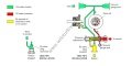 Suntec E7NC 10697P Fuel Oil Yakıt Pompası