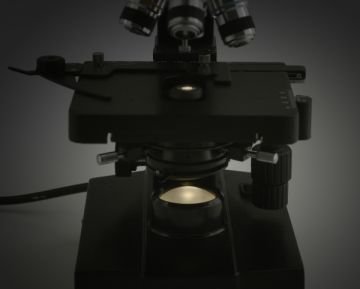 Levenhuk 320 Biyolojik Mikroskop