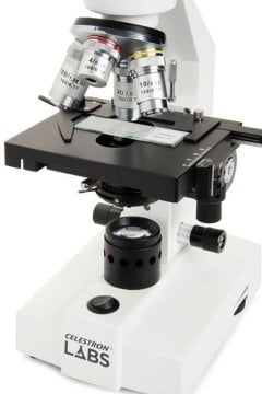 Celestron 44230-CGL Labs CL-CM2000CF Biyolojik Mikroskop