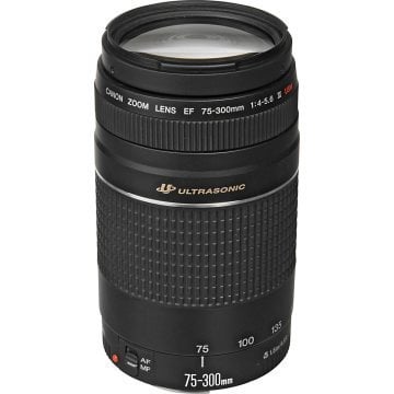 Canon EF 75-300mm f/4-5.6 USM Lens