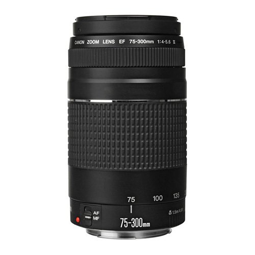 Canon EF 75-300mm f/4-5.6 III Lens