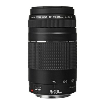 Canon EF 75-300mm f/4-5.6 III Lens