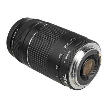 Canon EF 75-300mm f/4-5.6 III Lens