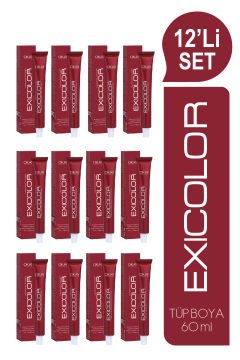 EXICOLOR 12'Lİ SET 4.71 YOĞUN KÜLLÜ KAHVE Kalıcı Krem Saç Boyası (60ml x 12 adet)