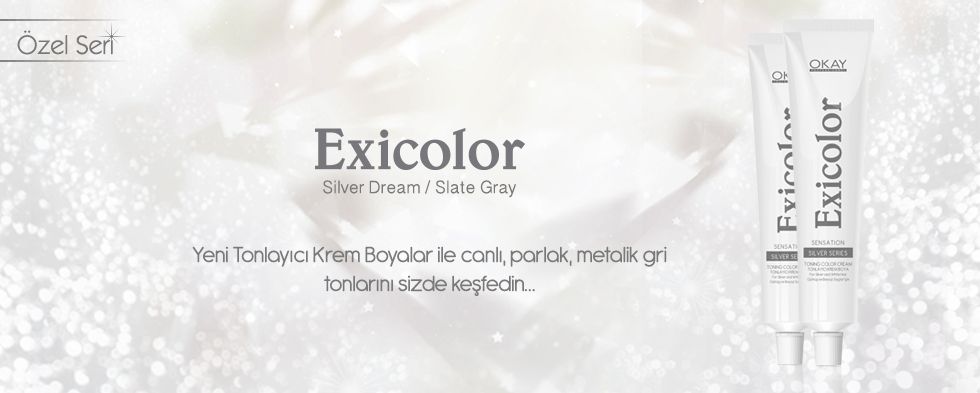 Exicolor Silver 60ml Slider