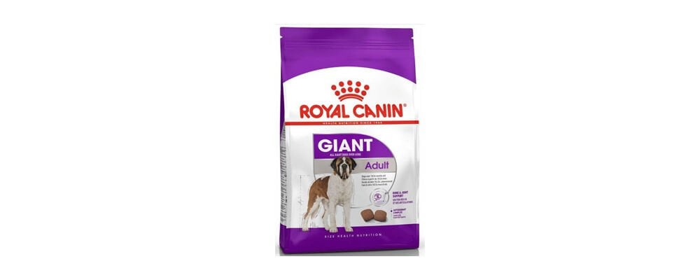 Royal Canin Köpek Maması Çeşitleri İle Köpeğinizin Sağlıklı Beslenmesini Sağlayın