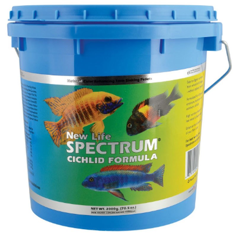 New Life Spectrum Cichlid Formula Balık Yemi 2000 gr Kova - 1mm