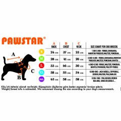 PawStar Neon Fuşya Railway Küçük ve Orta Irk Yelek XLarge