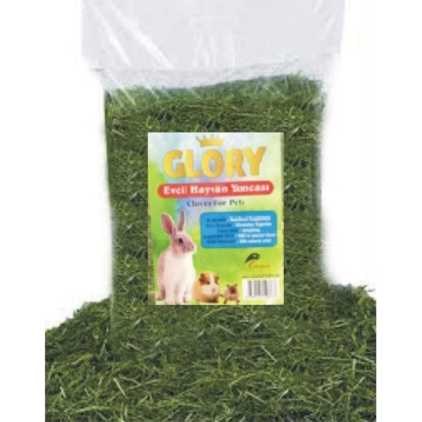 Glory Kemirgen Yoncası 350 gr