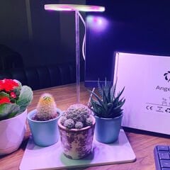 AquaReef Angel Grow Led Saplama Çubuklu Aydınlatma