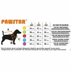 PawStar Neon Turuncu Railway Küçük ve Orta Irk Yelek Large