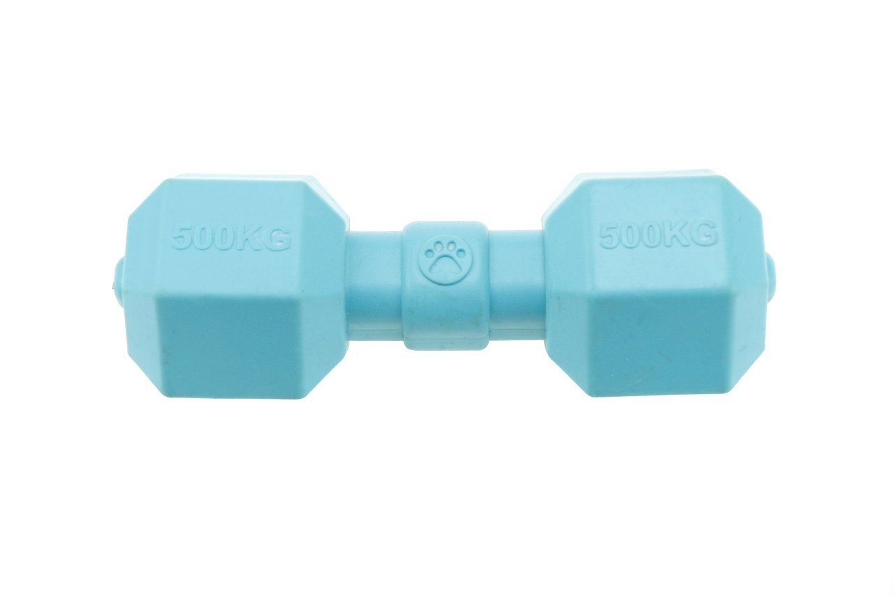 Lion TY077 Köpek Oyuncağı Dumbell 20 x 7,5 cm 