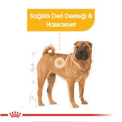 Royal Canin Medium Dermacomfort 12 kg Köpek Maması