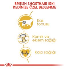 Royal Canin British Short Hair 2 Kg