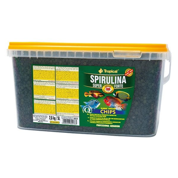 Tropical Super Spirulina Forte Chips Balık Yemi 5 L 2,6 Kg