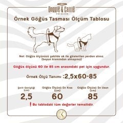 Cattie Özel Desenli Dokumadan El Yapımı Kedi Göğüs Tasması ve Gezdirme Takımı