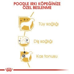 Royal Canin Poodle Adult 3 Kg Köpek Irk Maması