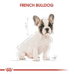 Royal Canin French Bulldog Puppy 3 Kg Yavru Köpek Irk Maması