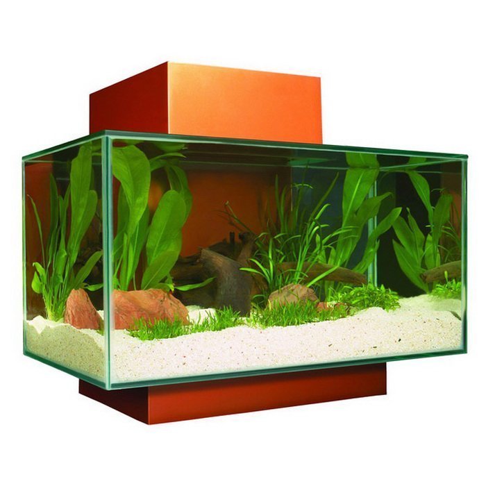 Fluval Edge Akvaryum Seti Turuncu