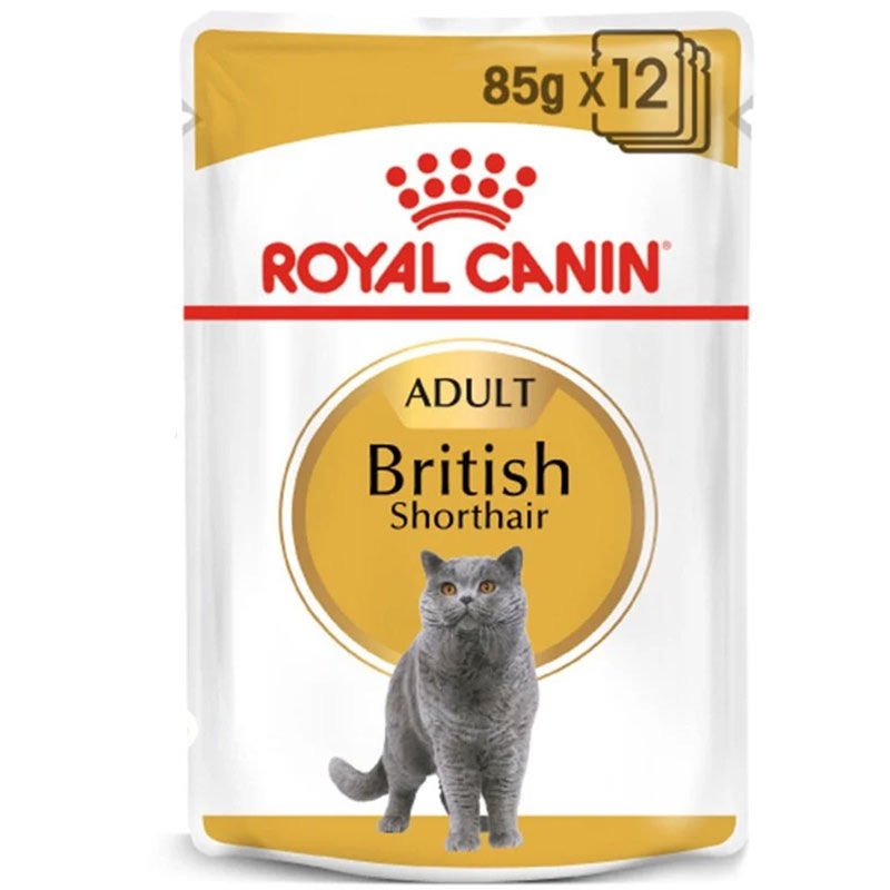 Royal Canin British Short Hair Pouch 85 gr x 12 adet