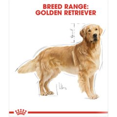 Royal Canin Golden Retriever 12 kg Köpek Irk Maması