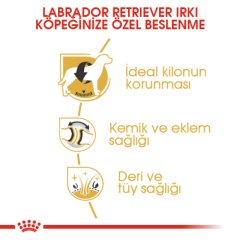 Royal Canin Labrador Retriever 12 kg Köpek Irk Maması