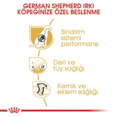 Royal Canin German Shepherd Adult 11 kg Köpek Irk Maması