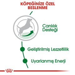 Royal Canin Mini Adult +8 Yaş Üzeri 2 kg İleri Yaşlı Köpek Maması